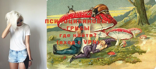 трава Няндома