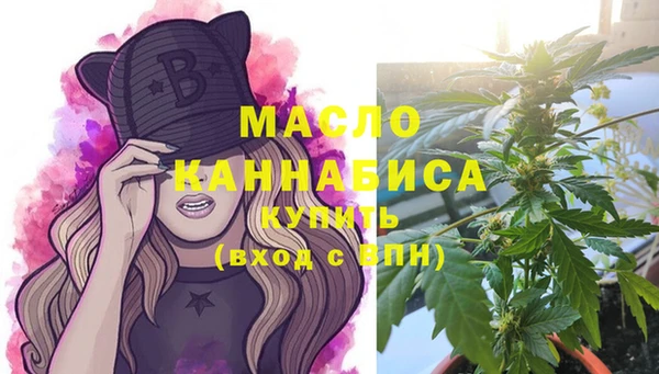 трава Няндома