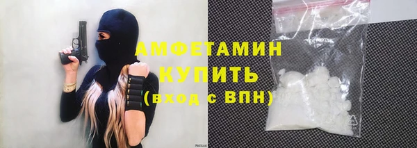 трава Няндома