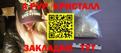 шишки Балашиха