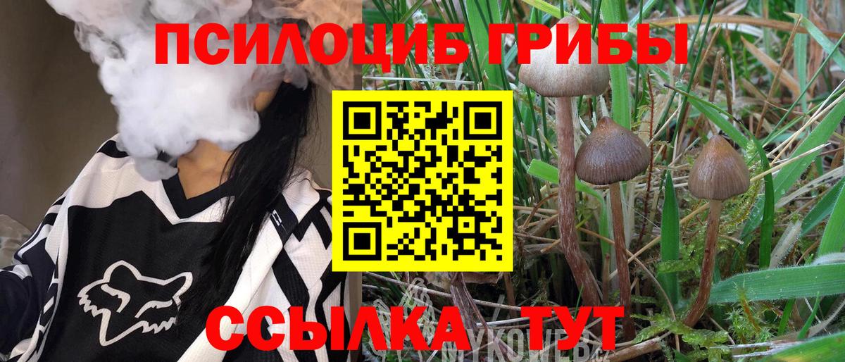 Псилоцибиновые грибы Cubensis Крымск
