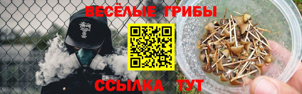 Крымск  Псилоцибиновые грибы Magic Shrooms  Вход с VPN 
